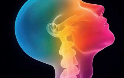 Le langage émotionnel du corps : libérer le non-exprimé